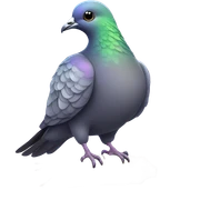 Pigeon sticker