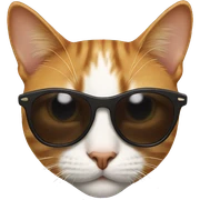 Cat with sunglasses sticker