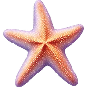 Starfish  sticker