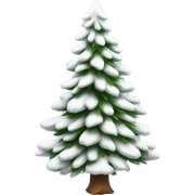  actual white fir christmas tree isolated.  sticker
