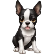Boston terrier puppy sticker