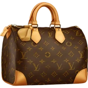 Louis Vuitton speedy sticker