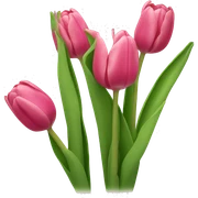 tulips sticker