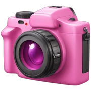 Pink camera sticker