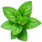 mint sticker