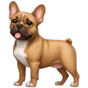 Brown French bulldog  sticker