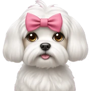 maltese with cute eyelashes and a bow sticker