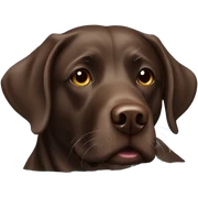  Chocolate lab swimming sticker