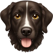 Dark brown wavy short haired dog sticker