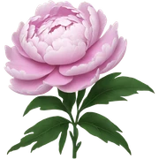 Peony sticker