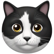 black and white cat sticker
