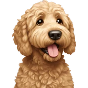 Goldendoodle  sticker