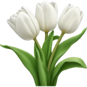 White tulips sticker