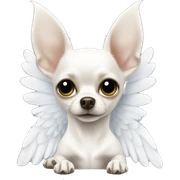 White chihuahua angel sticker