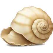 Shell beige  sticker