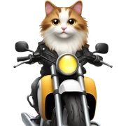 Fluffy calico cat driving motorcycle  sticker