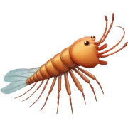 Anomalocaris Shrimp sticker