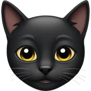 Black cats sticker