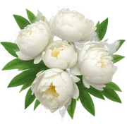 White peonies bouquet  sticker
