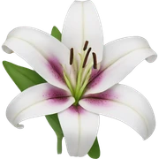 Lily sticker