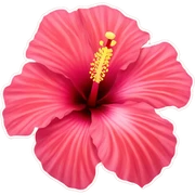 Hibiscus flower sticker