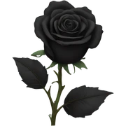 black rose sticker