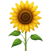 sunflower sticker