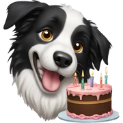 border collie with birthday cake sticker