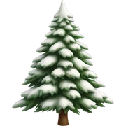  actual white fir christmas tree isolated.  sticker