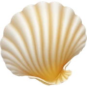 Shell sticker