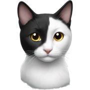 Black and white cat sticker