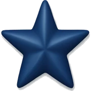 Navy blue star sticker