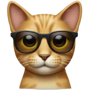 Cat with sunglasses sticker