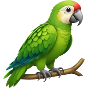 Papagaio verde sticker