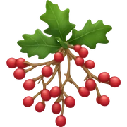 Mistletoe sticker