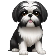 Shih tzu noir sticker