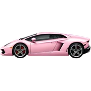light pink Lamborghini  sticker