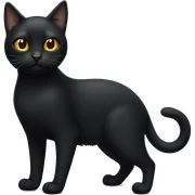 Black cat with golden eyes full body  sticker