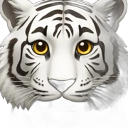 tigre blanco sticker