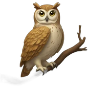 Owl sticker