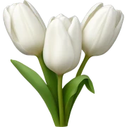 White tulips  sticker
