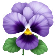 Pansy flower sticker
