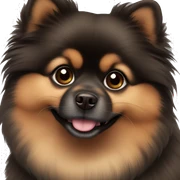Brown black Pomeranian sticker