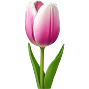 tulip sticker