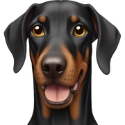 Doberman sticker