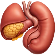 Stomach sticker