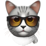 Cat with sunglasses sticker