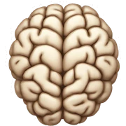 brain sticker