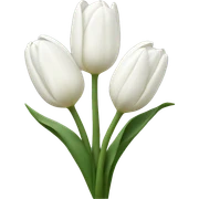 White tulips  sticker