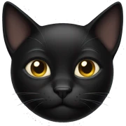 Black cat sticker